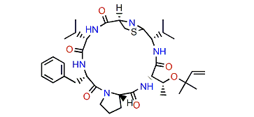 Mollamide B